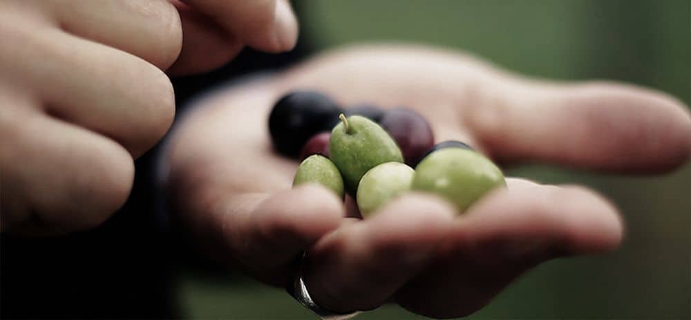 Oli stranieri, una minaccia per la produzione italiana